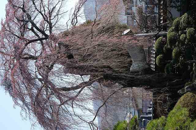 ���̊J�Ԃ���� 2022